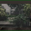 구드래관광지 이미지