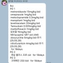 다온그루밍 | 환묘일기 🐈 (7.27~8.10)