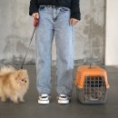 강아지 켄넬 이미지