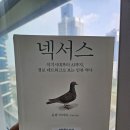 청주심리상담) 유발하라리 책 ＜넥서스＞ 이미지