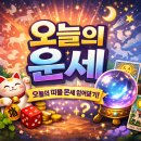 금성PVC종합상사 | 🚨🔥 2026년 3월 12일 오늘! 30세 이후 당신 띠별 초대박 운세 완전 정복🔮 타로+서양점성술+만세력+토정...