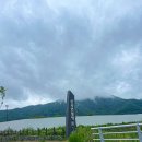 선샤인 반려견 유치원 이미지