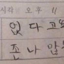 비비드케이