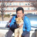시호와 이미지