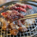 일산 탄현 맛집 담가화로구이 탄현고기집 소갈비살 후기