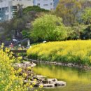 온천천로 이미지