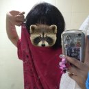 잇템 오락실 | 헐헐헐 여름이온다 헐…