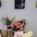 포항이화부속 이미지