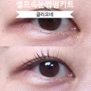 (주)프라임개발 | 집에서 혼자 하는 속눈썹펌, 클리오네 셀프속눈썹펌키트 후기