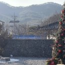 수원-1608 | [ Info - ] 수원 호매실동 가볼만한 카페 : 🎄🪟 대형 크리스마스 트리가 있는 통창 뷰 대형카페 포커스...