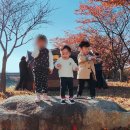 선장그린관광농원가든 이미지