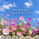 우리에게 뿌려진 사랑의 결과물을 보면서...... 이미지