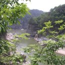 계곡사랑 이미지