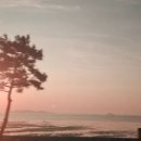 시민보석 이미지