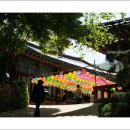 사구해수욕장2 이미지