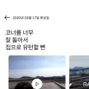 한담 애 이미지