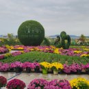 피나클랜드 이미지