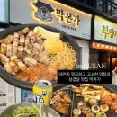 부산 경성대 막창입문자도 한눈에 반할 초벌막창 고기 맛집 막본가