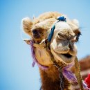 메디누리 이미지