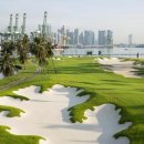 라이온씨티 이미지