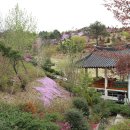 동산잔디 이미지