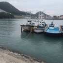 [공지] 한라민박 선상낚시 및 식사 후기
