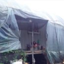 포천 이주여성 노동자 희생, “비닐하우스에 방치된 생명” 이미지