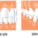 비우고채우는치과의원 이미지
