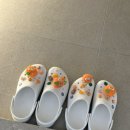 카세파 이미지