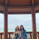 (주)제주모아투어 | 제주도 택시투어 가격 기사포함 편안했던 2박 3일 제주 여행 후기