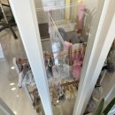 에이미 그루밍 이미지