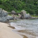 브라운도트 진하해수욕장점 이미지