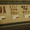 한국인삼공사 고려인삼창 이미지