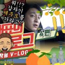 광성TV 이미지