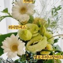 플로랄데이즈 이미지