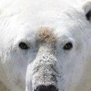 바다소식 이미지