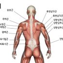 미노연가 이미지
