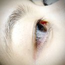 (주)에디샵 | 종암동 속눈썹펌 영양펌 하이업 후기 (얇고 처지는 속눈썹 얼태기 극복)