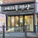 부산애견미용 이미지