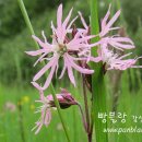 오늘의 당신 - 65522 | 오늘의 당신