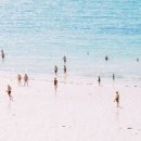 조수STAY 이미지