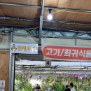 석송 | 파주 식물 가게 조인폴리아 후기 [특징 가격 종류]