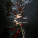 스타휘트니스 246 이미지