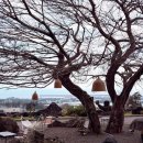 푸른청과 | 서귀포 카페 추천 메리인제주 딸기 말차라떼와 두쫀쿠 솔직 후기