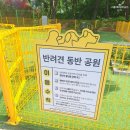 솔숲산 | 정읍휴게소 하행 순천방향 반려견동반식당공원휴게소 로봇커피 정읍국밥 화장실 솔숲공원