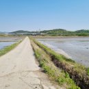 신현2농로 이미지