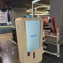 익스홀릭 가넷 이미지