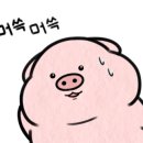 대박코인노래연습장 이미지