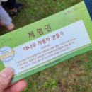 아지트 게임존 | 2025 담양대나무아지트축제 사전신청 다녀온 솔직후기