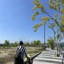 제이랜드 - 송파구 | 엄마 아빠가 더 신나는 레고랜드 오픈런 후기 (레고랜드 준비물)